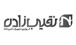 نقیب زاده : 